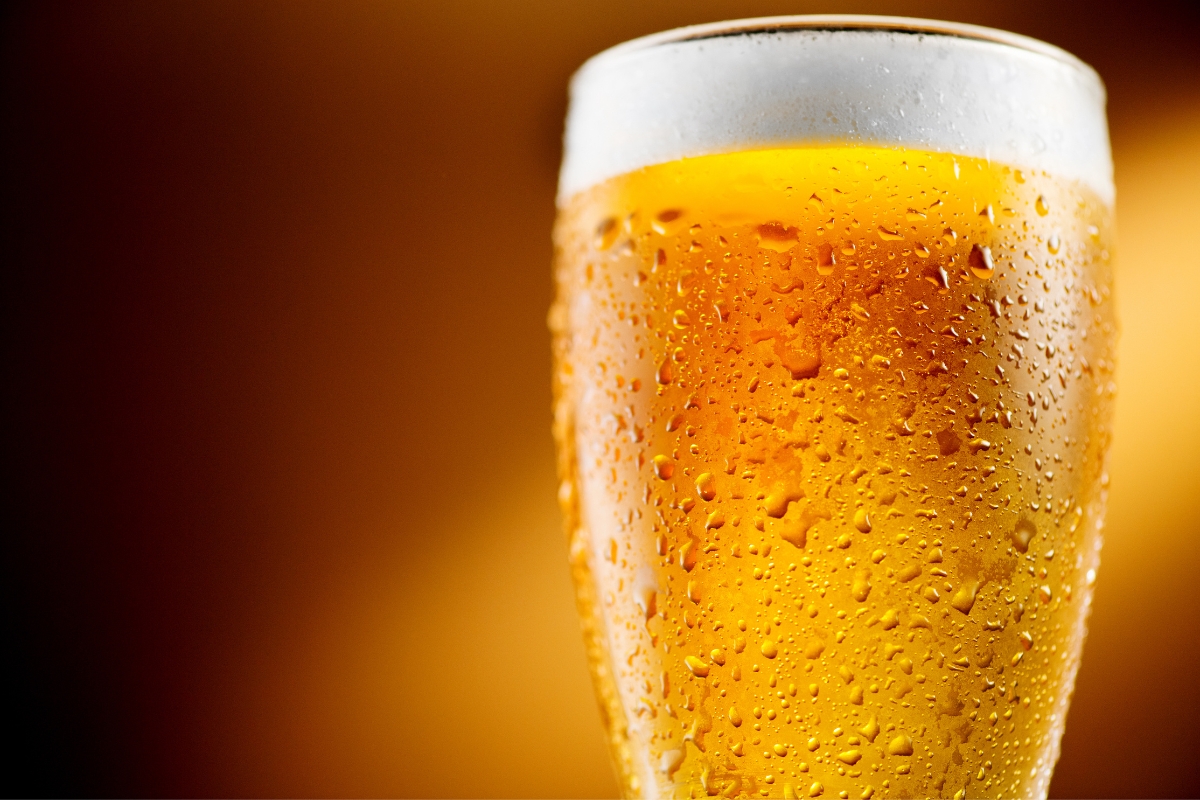 Local Craft Beer Special