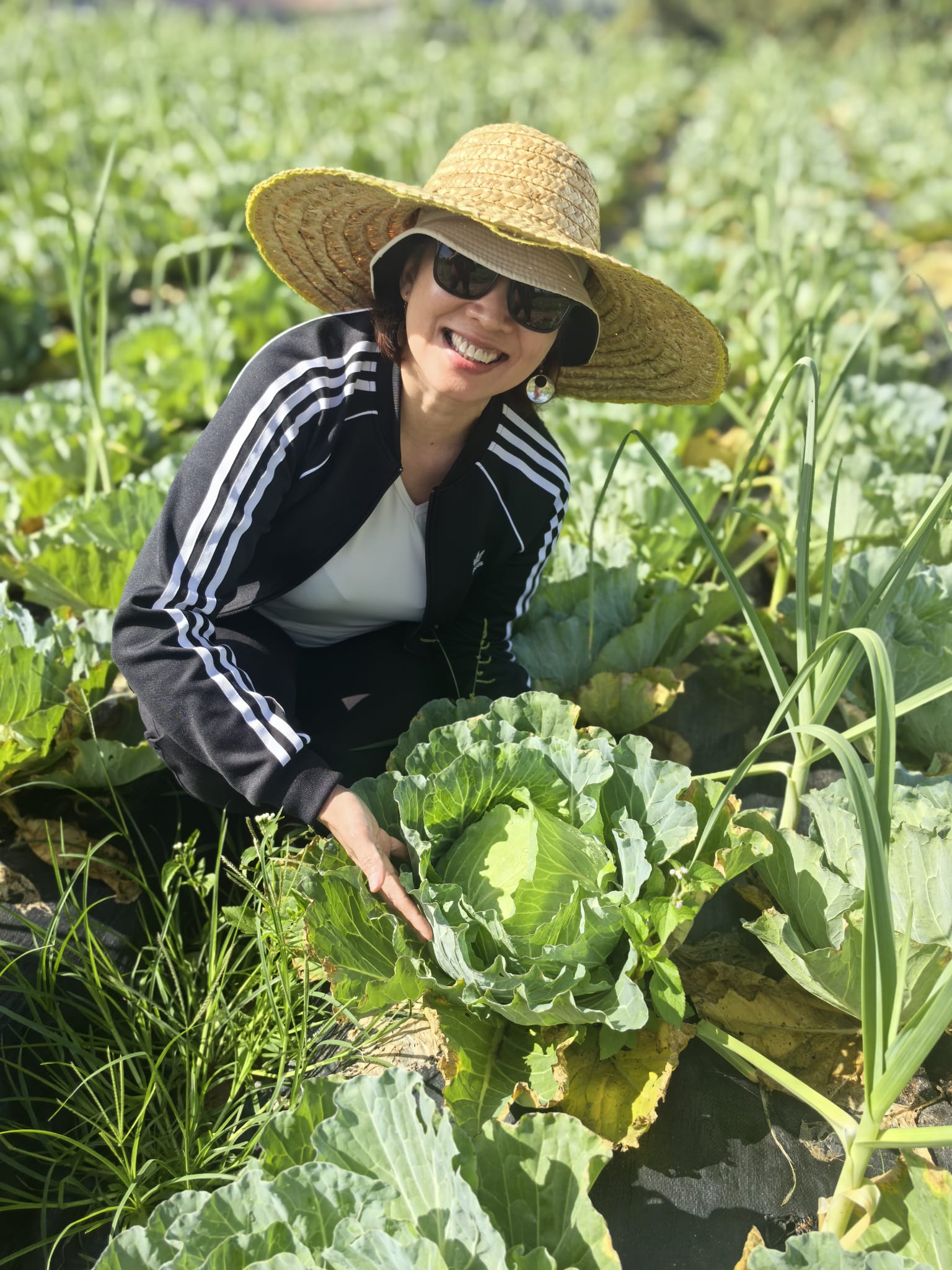 ms loke and cabbage